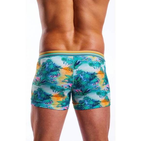 NEW COCKSOX men's boxer brief in florida keys - Picture 2 of 2